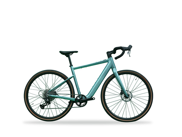 Pedal Assist Electric Bicycle