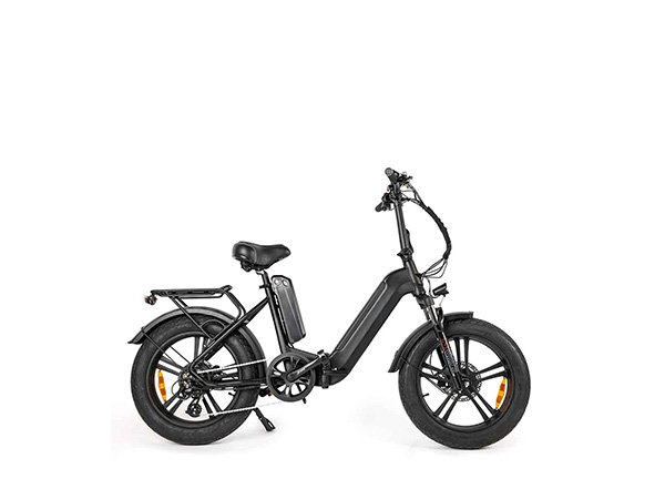 SuWing E-Bicycle